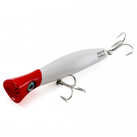 500A9992.jpg